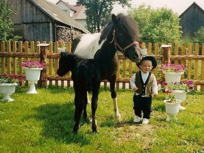 rancho_bieszczady_061